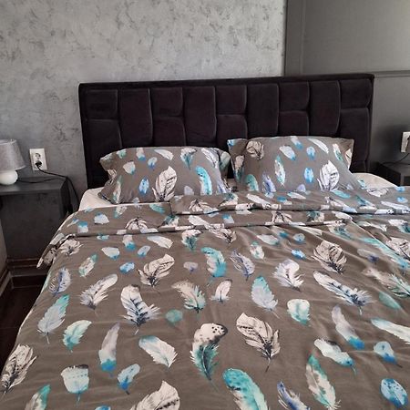 Stan Na Dan Dunja 2 Apartamento Vrsac Exterior foto