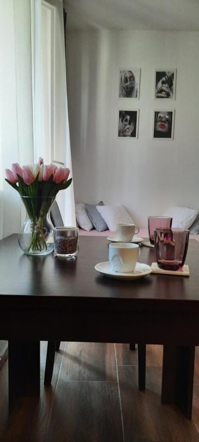 Stan Na Dan Dunja 2 Apartamento Vrsac Exterior foto