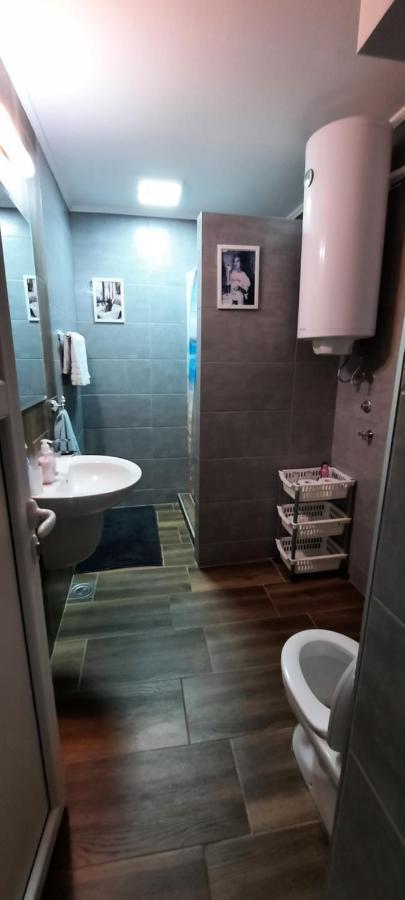Stan Na Dan Dunja 2 Apartamento Vrsac Exterior foto