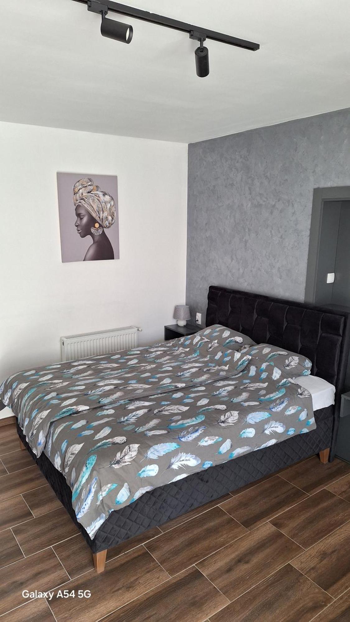 Stan Na Dan Dunja 2 Apartamento Vrsac Exterior foto