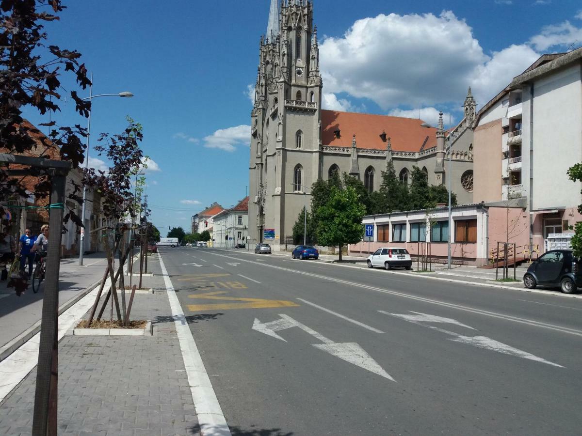 Stan Na Dan Dunja 2 Apartamento Vrsac Exterior foto