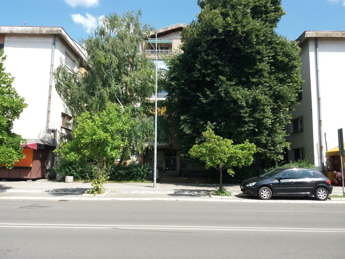 Stan Na Dan Dunja 2 Apartamento Vrsac Exterior foto