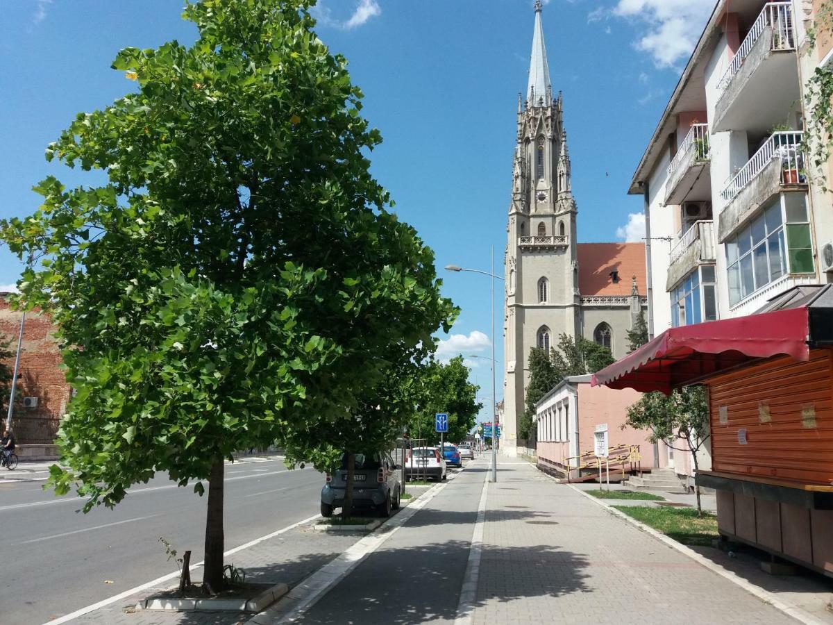 Stan Na Dan Dunja 2 Apartamento Vrsac Exterior foto