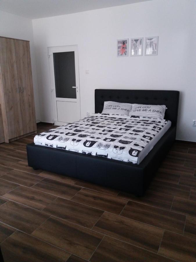 Stan Na Dan Dunja 2 Apartamento Vrsac Exterior foto