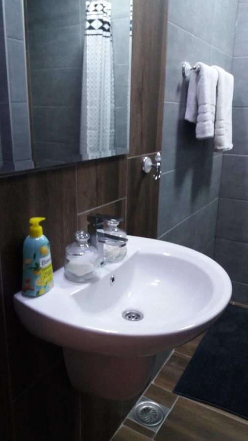 Stan Na Dan Dunja 2 Apartamento Vrsac Exterior foto
